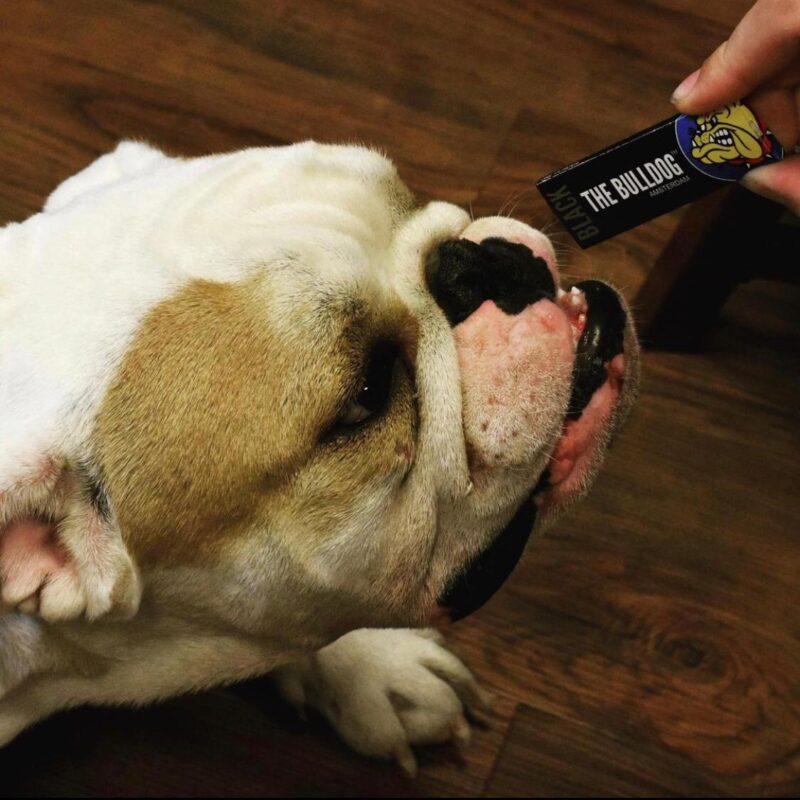 Papelillos Bulldog Black 1 1/4 + filtros